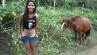 Love To Masturbate With A Huge Horse Cock And Climax On Camera