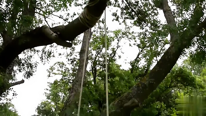 Luna Amor et sa petite amie s'adonnent à des plaisirs de jardin