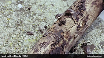 লেসবিয়ান আধিপত্য এবং বড় স্তন মিল্ফ নগ্নতা চার্লিজ থেরন এবং পেনেলোপ ক্রুজ মুভিতে