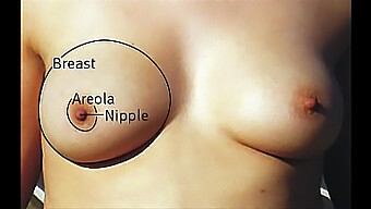 A Variety Of Large-Breasted Women With Natural And Small Tits